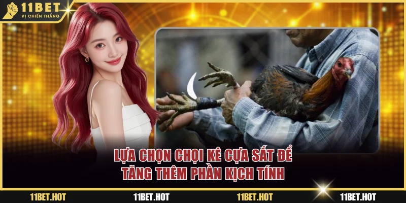 Lựa chọn chọi kê cựa sắt để tăng thêm phần kịch tính